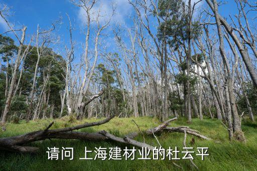 請(qǐng)問(wèn) 上海建材業(yè)的杜云平
