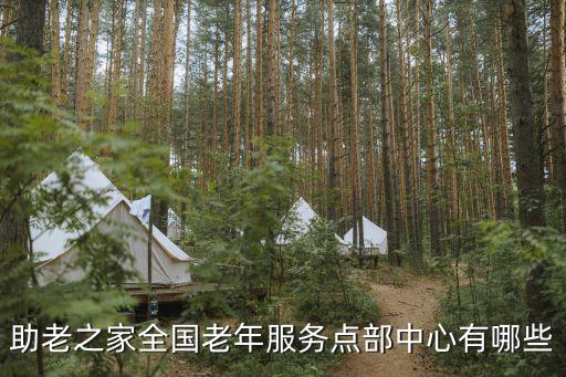 助老之家全國老年服務點部中心有哪些