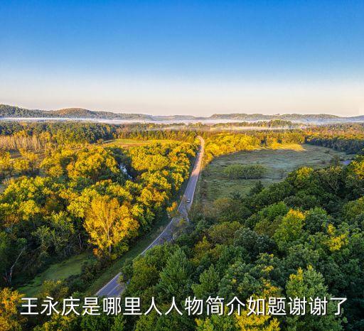  王永慶是哪里人人物簡(jiǎn)介如題謝謝了