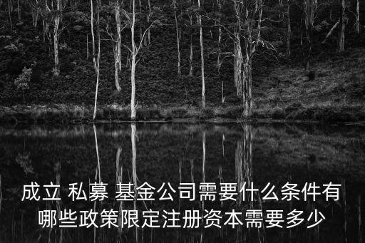 成立 私募 基金公司需要什么條件有哪些政策限定注冊(cè)資本需要多少