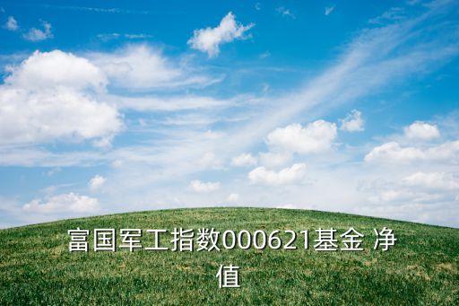  富國(guó)軍工指數(shù)000621基金 凈值