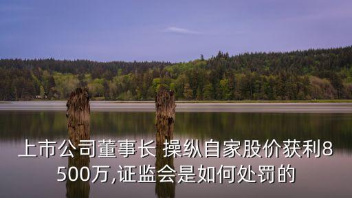 上市公司董事長(zhǎng) 操縱自家股價(jià)獲利8500萬(wàn),證監(jiān)會(huì)是如何處罰的