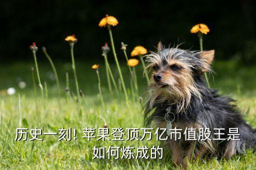 歷史一刻! 蘋果登頂萬(wàn)億市值股王是如何煉成的