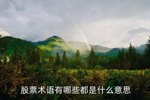  股票術(shù)語有哪些都是什么意思
