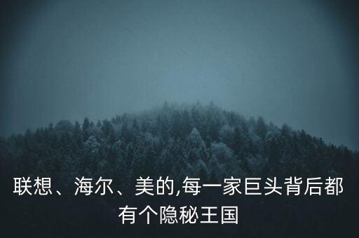 聯(lián)想、海爾、美的,每一家巨頭背后都有個(gè)隱秘王國