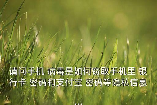 病毒可以盜走網上銀行密碼