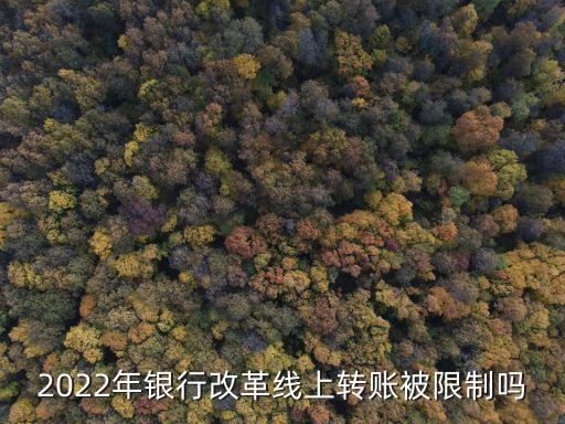 2022年銀行改革線上轉賬被限制嗎
