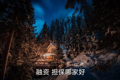 陜西中小企業(yè)融資擔(dān)保公司,邵陽(yáng)市中小企業(yè)融資擔(dān)保有限責(zé)任公司