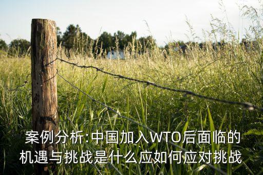  案例分析:中國加入WTO后面臨的機遇與挑戰(zhàn)是什么應如何應對挑戰(zhàn)
