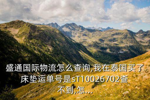 盛通國際物流怎么查詢,我在泰國買了床墊運(yùn)單號是sT10026702查不到,怎...