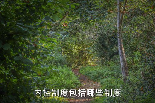 內控制度包括哪些制度