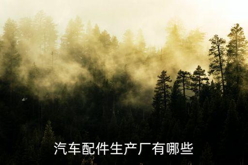 汽車配件生產廠有哪些