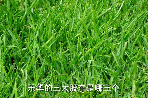 樂華的三大股東是哪三個