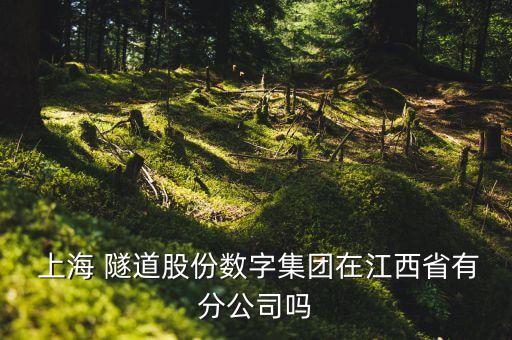  上海 隧道股份數(shù)字集團(tuán)在江西省有分公司嗎
