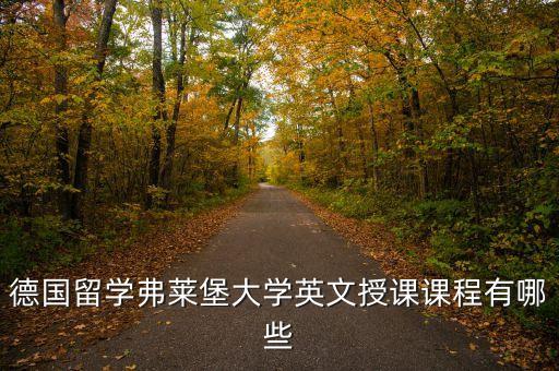 德國留學弗萊堡大學英文授課課程有哪些