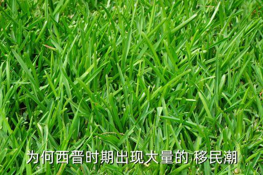 為何西晉時期出現大量的 移民潮