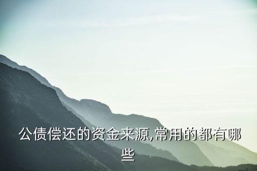  公債償還的資金來(lái)源,常用的都有哪些