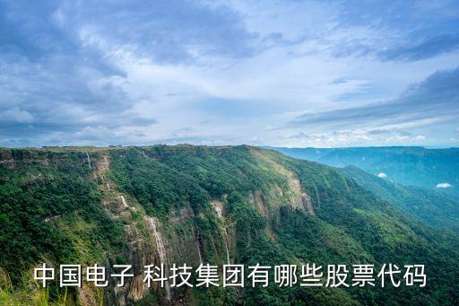 中國(guó)電子 科技集團(tuán)有哪些股票代碼