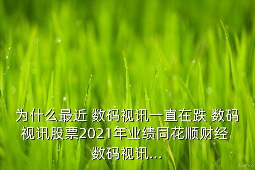 為什么最近 數(shù)碼視訊一直在跌 數(shù)碼視訊股票2021年業(yè)績同花順財(cái)經(jīng) 數(shù)碼視訊...