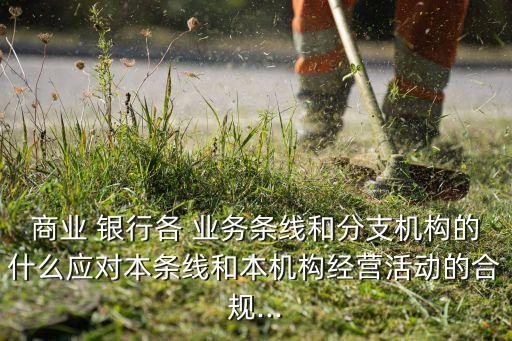 商業(yè) 銀行各 業(yè)務(wù)條線和分支機(jī)構(gòu)的什么應(yīng)對(duì)本條線和本機(jī)構(gòu)經(jīng)營活動(dòng)的合規(guī)...