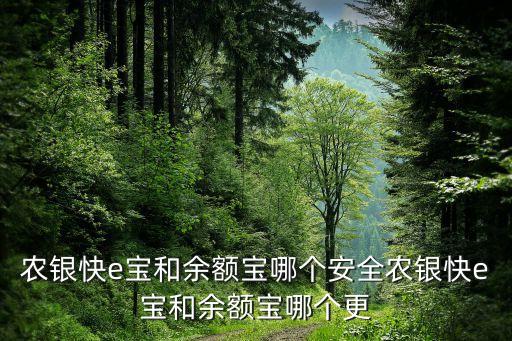 農(nóng)銀快e寶和余額寶哪個(gè)安全農(nóng)銀快e寶和余額寶哪個(gè)更