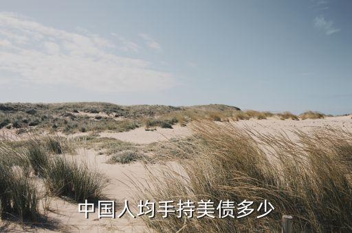 中國(guó)人均手持美債多少
