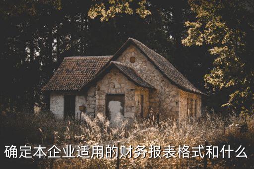 確定本企業(yè)適用的財務報表格式和什么
