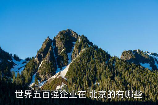 世界五百強(qiáng)企業(yè)在 北京的有哪些
