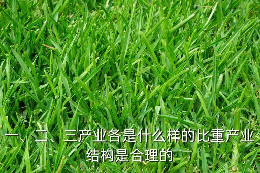 一、二、三產(chǎn)業(yè)各是什么樣的比重產(chǎn)業(yè)結(jié)構(gòu)是合理的