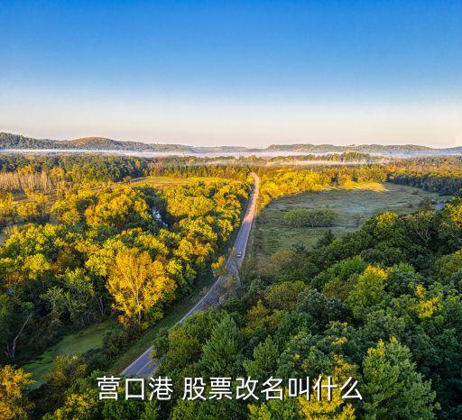 營口港 股票改名叫什么