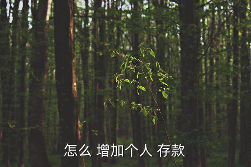 怎么 增加個(gè)人 存款