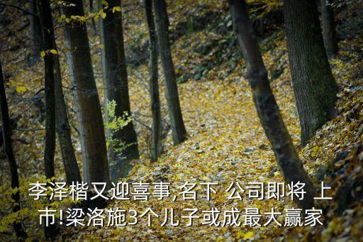 李澤楷又迎喜事,名下 公司即將 上市!梁洛施3個(gè)兒子或成最大贏家