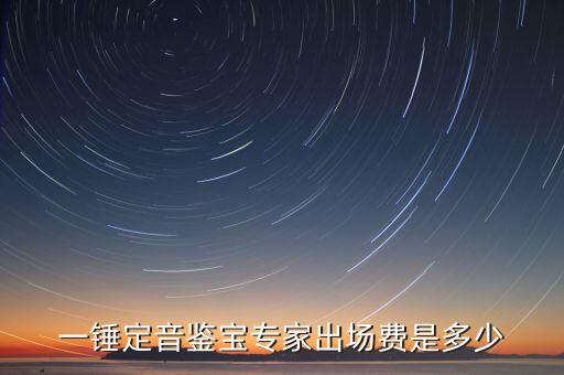 一錘定音鑒寶專家出場費(fèi)是多少