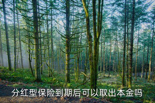 請(qǐng)將你的保單發(fā)送至金融公司