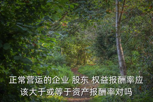 正常營運的企業(yè) 股東 權(quán)益報酬率應該大于或等于資產(chǎn)報酬率對嗎