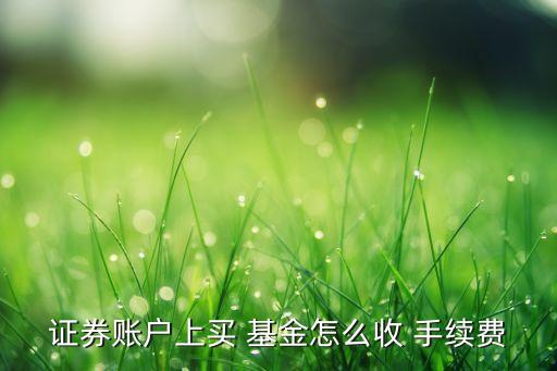 基金手續(xù)費(fèi)如何確定,5萬(wàn)基金扣了300手續(xù)費(fèi)