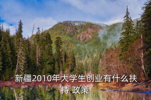  新疆2010年大學生創(chuàng)業(yè)有什么扶持 政策