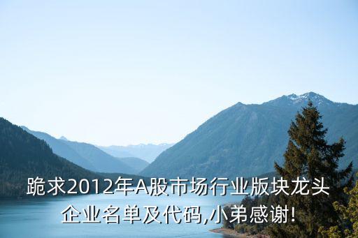 跪求2012年A股市場行業(yè)版塊龍頭企業(yè)名單及代碼,小弟感謝!