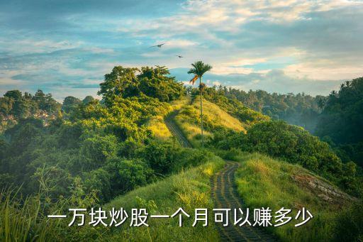 一萬塊炒股一個(gè)月可以賺多少