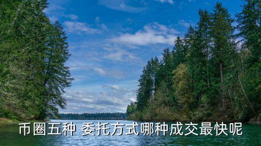 股票委托方式什么是對方最優(yōu)價(jià)格,股票選擇委托方式選什么好