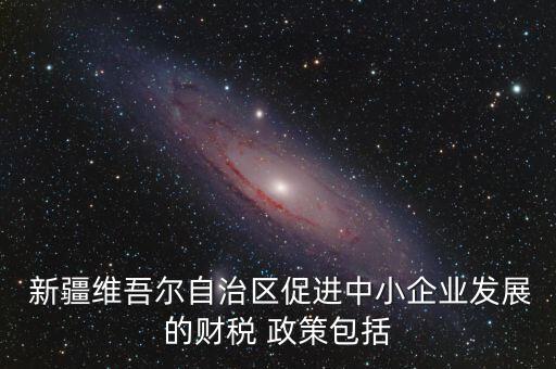  新疆維吾爾自治區(qū)促進中小企業(yè)發(fā)展的財稅 政策包括