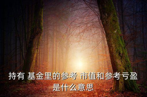 基金最新市值與浮動盈虧,基金浮動盈虧是賺了多少嗎