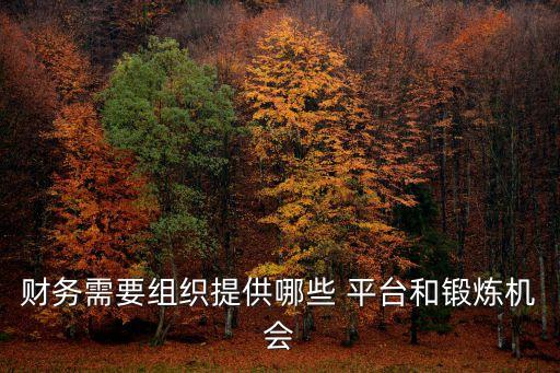財(cái)務(wù)需要組織提供哪些 平臺和鍛煉機(jī)會