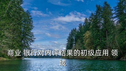 商業(yè) 銀行對內(nèi)評結(jié)果的初級應用 領(lǐng)域