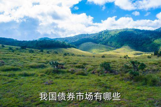 我國債券市場有哪些