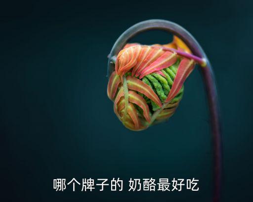 中國奶酪質量,奶酪哪個牌子的質量好