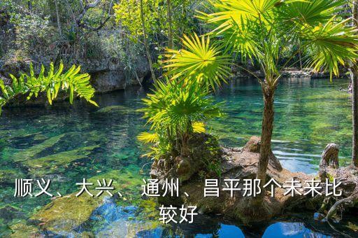 順義、大興、 通州、昌平那個未來比較好