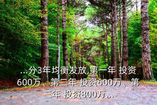 ...分3年均衡發(fā)放,第一年 投資600萬(wàn)、第二年 投資600萬(wàn)、第三年 投資800萬(wàn)...