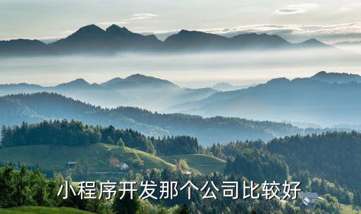 小程序開發(fā)那個(gè)公司比較好