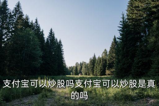 支付寶可以炒股嗎支付寶可以炒股是真的嗎